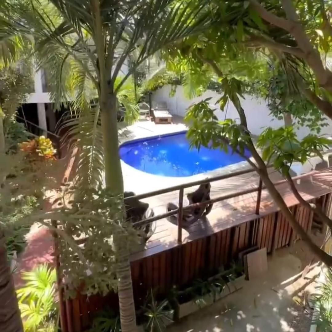 Nativo Manzanillo