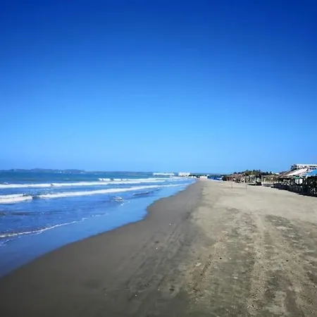 Nativo Manzanillo